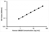 Human Ubiquitin-conjugating enzyme E2 B (UBE2B) ELISA Kit (RK07587)