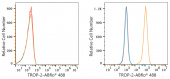 ABflo® 488 Rabbit anti-Goat IgG (Fc) fragment mAb (A22776)