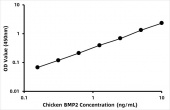 Chicken Bone morphogenetic protein 2 (BMP2) ELISA Kit (RK06042)