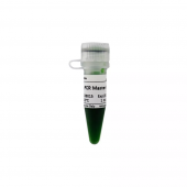 2×Taq PCR Master Mix PCR Premix for Nucleic Acid Amplification