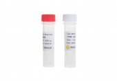 Uracil-DNA Glycosylase (UDG) (RK20527)