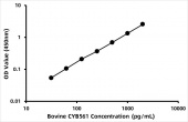 Bovine Cytochrome b561 (CYB561) ELISA Kit (RK08688)