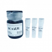 BCA protein quantitative detection kit