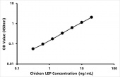 Chicken Leptin ELISA Kit (LEP) (RK00596)