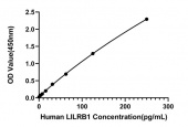 Rabbit anti-Human LILRB1 mAb (DET) (RM17934)