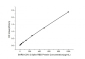Rabbit anti-SARS-CoV-2 Spike RBD Protein mAb(CAP） (RM17608)