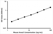 Mouse Annexin A5 ELISA Kit (ANXA5) (RK02600)