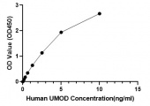Human Uromodulin ELISA Kit (UMOD) (RK02479)
