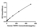 Rabbit anti-Human TNFR1 mAb (DET) (RM17950)