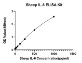 Rabbit anti-Sheep IL-6 mAb(CAP) (RM17804)