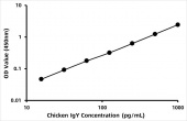Chicken Immunoglobulin Y (IgY) ELISA Kit (RK06960)