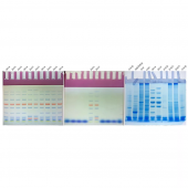 8% SDS-Page High-Resolution Color Red Gel Ultra-Fast Preparation Kit for Gel Electrophoresis System