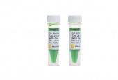Taq 2X PCR Master Mix with Dye (RK20604)
