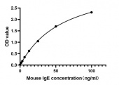 Rabbit anti-Mouse IgE mAb (DET) (RM17944)