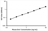 Mouse Alpha-enolase (Eno1) ELISA Kit (RK08153)