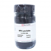 G2002 100ml Strong RIPA Lysis Buffer for Cell Tissues Processing