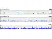 [KO Validated] CDK9 Rabbit mAb (A11145)