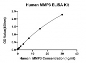 Rabbit anti-Human MMP3 mAb (CAP) (RM17819)