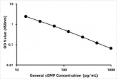 General cGMP / Cyclic guanosine monophosphateELISA Kit (RK09067)