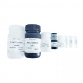 SDS-PAGE Gel Preparation Kit for Western Blot Electrophoresis Experiment