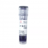 2x Protein Loading buffer Reducing Solution
