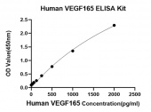 Rabbit anti-Human  VEGF165 (DET) (RM17781)