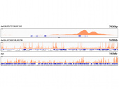 Acetyl-Histone H3-K27 Rabbit mAb (A22264)