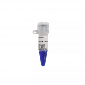 GN10K DNA Marker for Nucleic Acid Electrophoresis Reagent 300bp -10000bp DNA Ladder