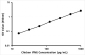 Chicken Interferon Gamma ELISA Kit (IFNg) (RK09294)
