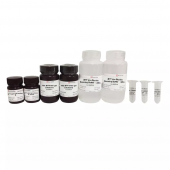 10% SDS-Page High-Resolution Color (green) Gel Ultra-Fast Preparation Kit