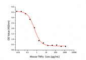 Active Recombinant Mouse TNF-alpha Protein (RP01071)