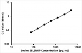 Bovine Selenoprotein P (SELENOP) ELISA Kit (RK08754)