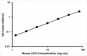Mouse B-lymphocyte antigen CD19 (Cd19) ELISA Kit (RK08844)