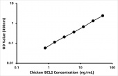 Chicken Apoptosis regulator Bcl-2 (BCL2) ELISA Kit (RK07276)