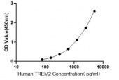 Human Triggering Receptor Expressed On Myeloid Cells 2 ELISA Kit (TREM2) (RK02445)