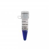 GN3K DNA Marker for Lab Nucleic Acid Electrophoresis Analysis Reagent DNA Ladder