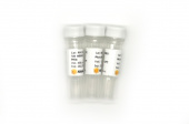 ABScript III RT Master Mix for qPCR (RK20428)