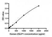 Rabbit anti-Human Zinc Finger GATA  mAb (DET) (RM17954)
