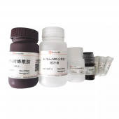 SDS-PAGE Gel Preparation Kit G2037-50T