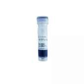 6× DNA Loading Buffer Nucleic Acid Electrophoresis Loading Buffer