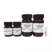 8% SDS-PAGE colored (red) gel ultra-fast preparation kit