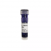 2 X SDS-Page Protein Loading Buffer (odorless, reduced type) 1ml