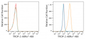 ABflo® 488 Rabbit anti-Goat IgG (Fab) fragment mAb (A22783)