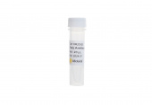 Taq Antibody (5, 000 U/mL) (RK20545)