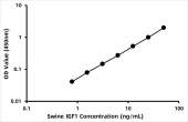 Porcine Insulin Like Growth Factor 1 ELISA Kit (IGF1) (RK03337)