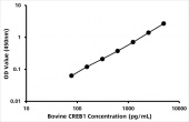 Bovine Cyclic AMP-responsive element-binding protein 1 (CREB1) ELISA Kit (RK07985)
