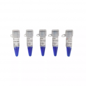 Servicebio GN3K DNA Marker 5×500 μL Nucleic Acid Electrophoresis Analysis Reagent DNA Ladder