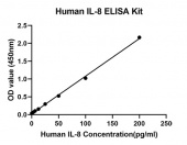 Rabbit anti-Human IL-8 mAb (CAP) (RM17646)