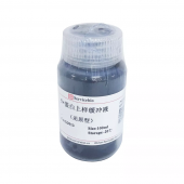 G2013-100ML 100ml Reduced 5*Protein Loading Buffer