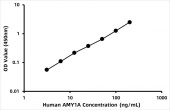 Human Alpha-amylase 1 (AMY1A) ELISA Kit (RK08203)